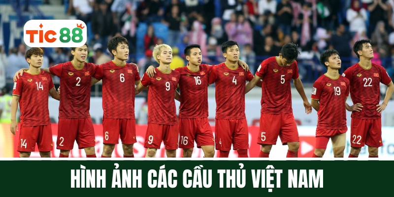 Hình ảnh các cầu thủ Việt Nam – Những khoảnh khắc làm nên lịch sử